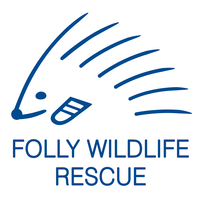 Folly Wildlife Rescue